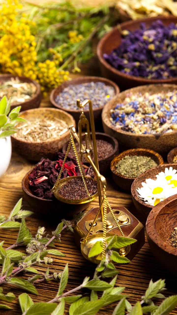 Traditional Herbs